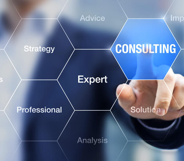 IT Consulting